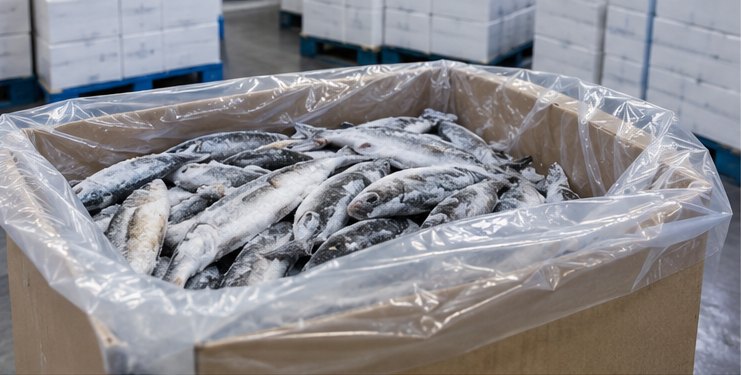 Frozen fish in a PE liner inside a corrugated bulk box in cold storage